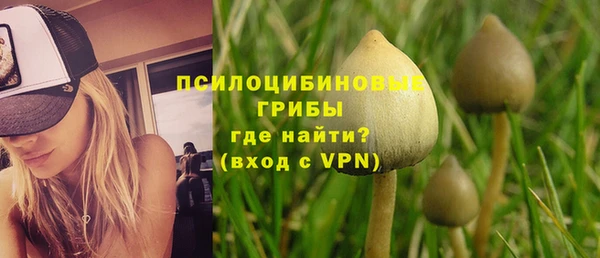 а пвп мука Алзамай